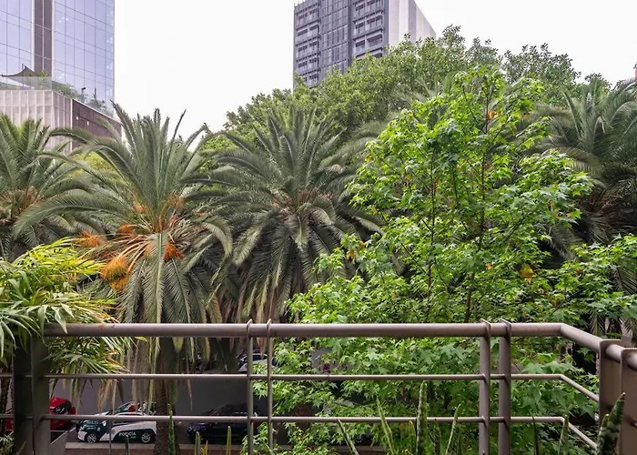 Apartamento New Walk Score 100 Ks Bed México DF